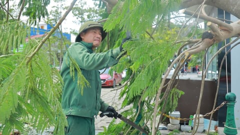 Chủ động phòng tránh mới có thể giảm thiểu thiệt hại