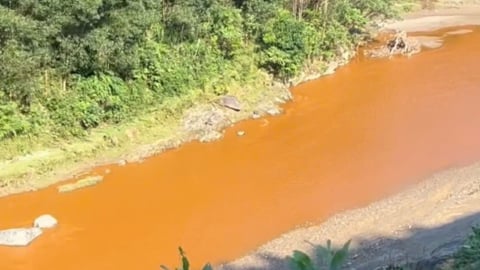 Nghệ An: Xuất hiện nước đục ngầu ở suối Nậm Huống dù trời không mưa