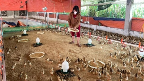Trợ cấp thất nghiệp - điểm tựa cho những ngày đầu khởi nghiệp