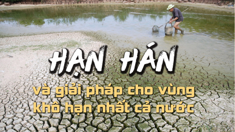 Hạn hán và giải pháp cho vùng khô hạn nhất cả nước