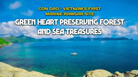 Con Dao – Vietnam's first marine ramsar site: Green heart preserving forest and sea treasures