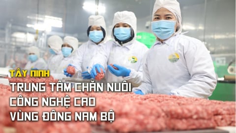 Tây Ninh -  Trung tâm chăn nuôi công nghệ cao vùng Đông Nam Bộ