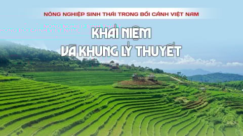 Nông nghiệp sinh thái trong bối cảnh Việt Nam: Khái niệm và khung lý thuyết