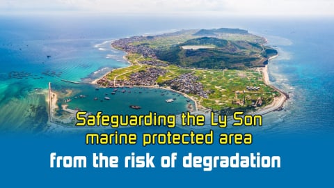 Safeguarding the Ly Son marine protected area from the risk of degradation