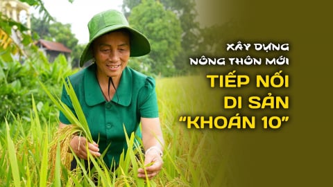 Xây dựng nông thôn mới tiếp nối di sản 'khoán 10'