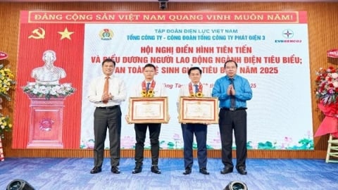 EVNGENCO3 biểu dương gương điển hình tiên tiến lao động ngành điện 2025