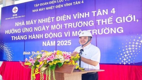 Nhà máy Nhiệt điện Vĩnh Tân 4 hưởng ứng ngày môi trường thế giới