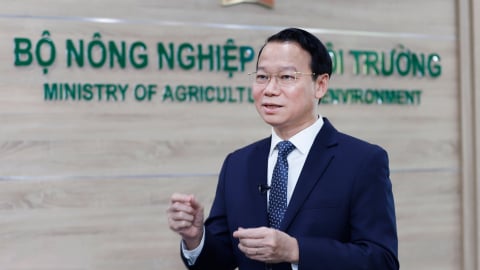 Những hành động nhỏ cho một tương lai lớn không rác thải nhựa
