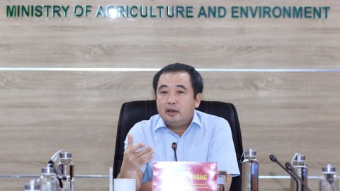 Hoàn thiện chiến lược quản lý và phát triển rừng, đa dạng sinh học