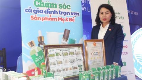 Liên kết vùng kiến tạo hệ sinh thái khởi nghiệp sáng tạo