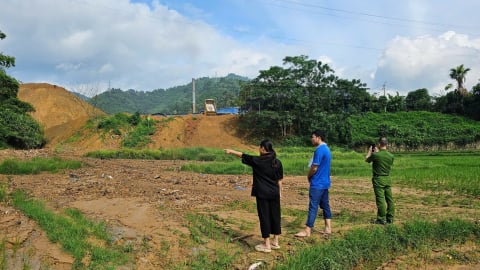 Nhà máy gạch ‘bức tử’ ruộng lúa