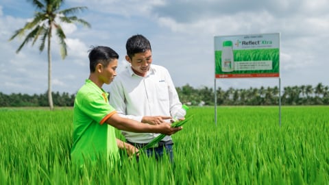 Tập huấn giúp hàng chục ngàn nông dân sử dụng thuốc BVTV an toàn, hiệu quả