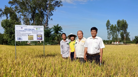 Những kỷ niệm với thầy Võ Tòng Xuân