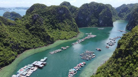 Quảng Ninh: Lá cờ đầu trong chống rác thải nhựa