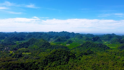 Cúc Phương tiên phong khai thác giá trị Vườn quốc gia