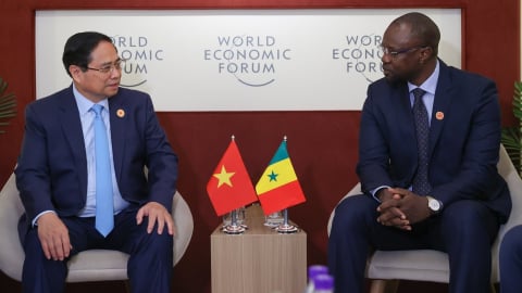 Senegal mong muốn Việt Nam tiếp tục hỗ trợ sản xuất lúa gạo và hạt điều