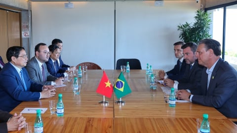 Thủ tướng đề nghị lập thương hiệu cà phê chung Việt Nam - Brazil