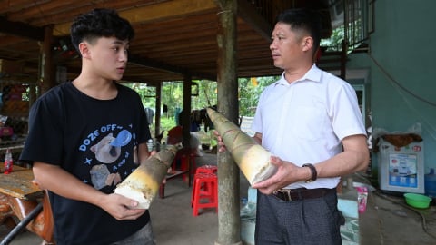 Bộ Nông nghiệp và Môi trường sẵn sàng tăng cường cán bộ cho địa phương