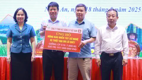 CP Việt Nam trao tặng Nghệ An 7 tấn hạt giống ngô lai