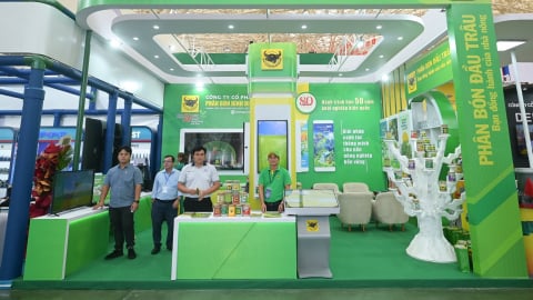Hướng đi vì tương lai xanh của Phân bón Bình Điền