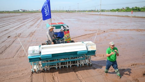 VAG Group và IRRI khởi động mô hình canh tác lúa bền vững ở Ninh Bình