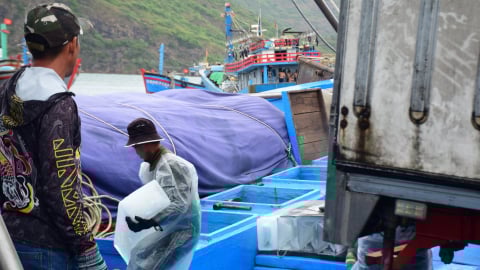 Bình Định cấm tàu cá vi phạm vùng biển nước ngoài