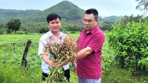Những công thức sản xuất cho thu nhập gần nửa tỷ đồng/ha