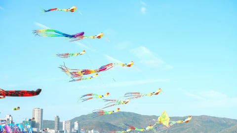 Biển Quy Nhơn rực rỡ diều nghệ thuật