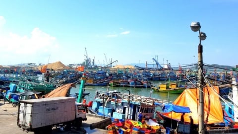Sau loạt vụ cháy tàu: [Bài cuối] Long đong bến neo đậu