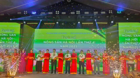 25 tỉnh, thành tham gia festival nông sản Hà Nội lần thứ 4 năm 2025