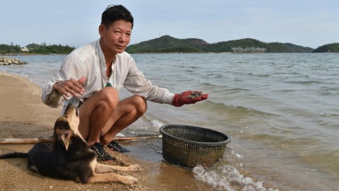 Vân Đồn phục hồi nuôi biển sau bão Yagi [Bài 1]: Sau 1 năm vẫn ngổn ngang