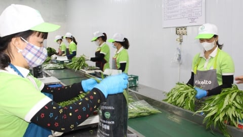 Những sản phẩm OCOP làm nên tên tuổi của nông sản Chương Mỹ
