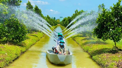 Tăng trữ nước, giảm rủi ro vụ hè thu