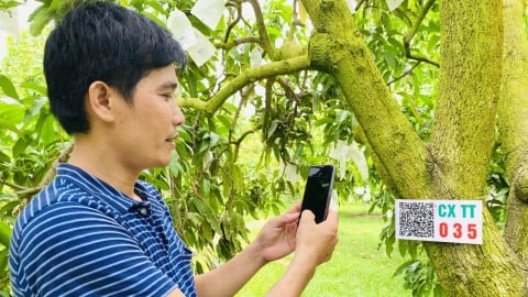 Đồng Tháp tập huấn về AI cho cán bộ và người dân