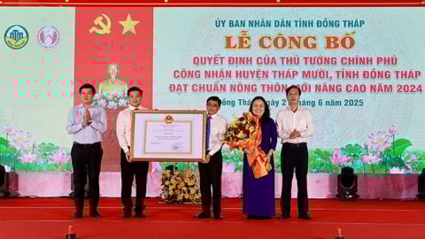 Đồng Tháp công bố huyện thứ hai đạt chuẩn nông thôn mới nâng cao