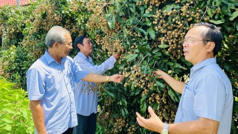 Đồng Tháp hướng đến tỉnh hoàn thành xây dựng nông thôn mới năm 2024