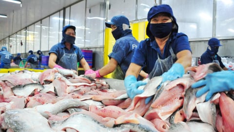 Đồng Tháp tăng trưởng GRDP đạt 6,98%
