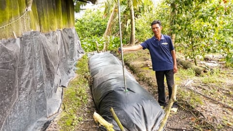 Nuôi heo kết hợp túi biogas giảm ô nhiễm môi trường, tăng lợi nhuận