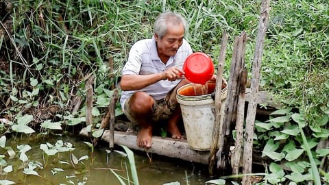 Hàng trăm hộ dân vùng U Minh thiếu nước ngọt