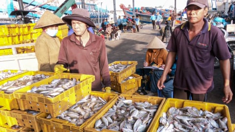 Nâng cao an toàn vệ sinh thực phẩm cho ngư dân tàu cá