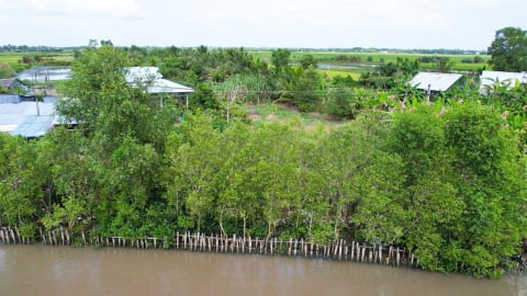Kè sinh thái chống sạt lở, bảo vệ bờ sông và môi trường