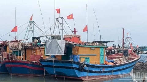 Hưng Yên di dời dân vùng nguy hiểm vào nơi an toàn trước 12h ngày 21/7
