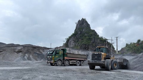 Công ty Cổ phần Tư vấn Đầu tư xây dựng Hoàng Hà gắn phát triển kinh doanh với bảo vệ môi trường