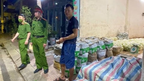Sơn La phát hiện 300 kg rau củ nhiễm hóa chất