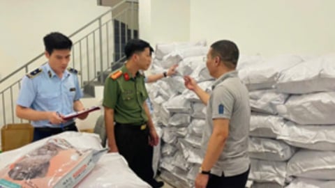 Cơ sở sản xuất thức ăn cho mèo giả mạo thương hiệu