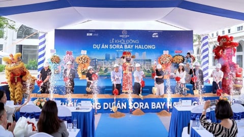 Tâm điểm phố đêm bên vịnh di sản Hạ Long