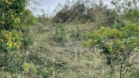 Chuyển Công an hồ sơ vụ phá gần 2ha rừng phòng hộ Đắk Glong