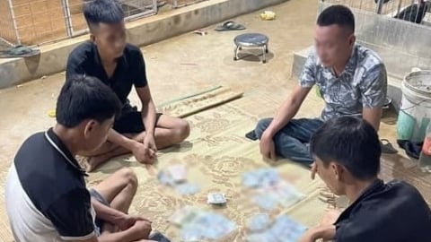 Bắt ‘sới bạc’ sát phạt nhau trong chuồng gà