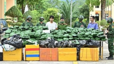 Bắt đối tượng vận chuyển và tàng trữ 240 kg cần sa khô