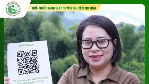 Tiên phong trong truy xuất nguồn gốc sản phẩm dược liệu trên VNPT Green